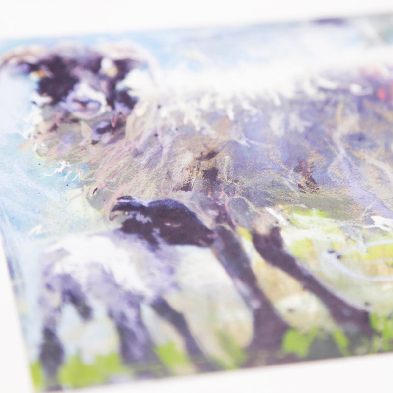 Greeting Card - F020 - Swaledale Ewe & Lamb Art Card - Swaledale Ewe & Lamb - Whistlefish
