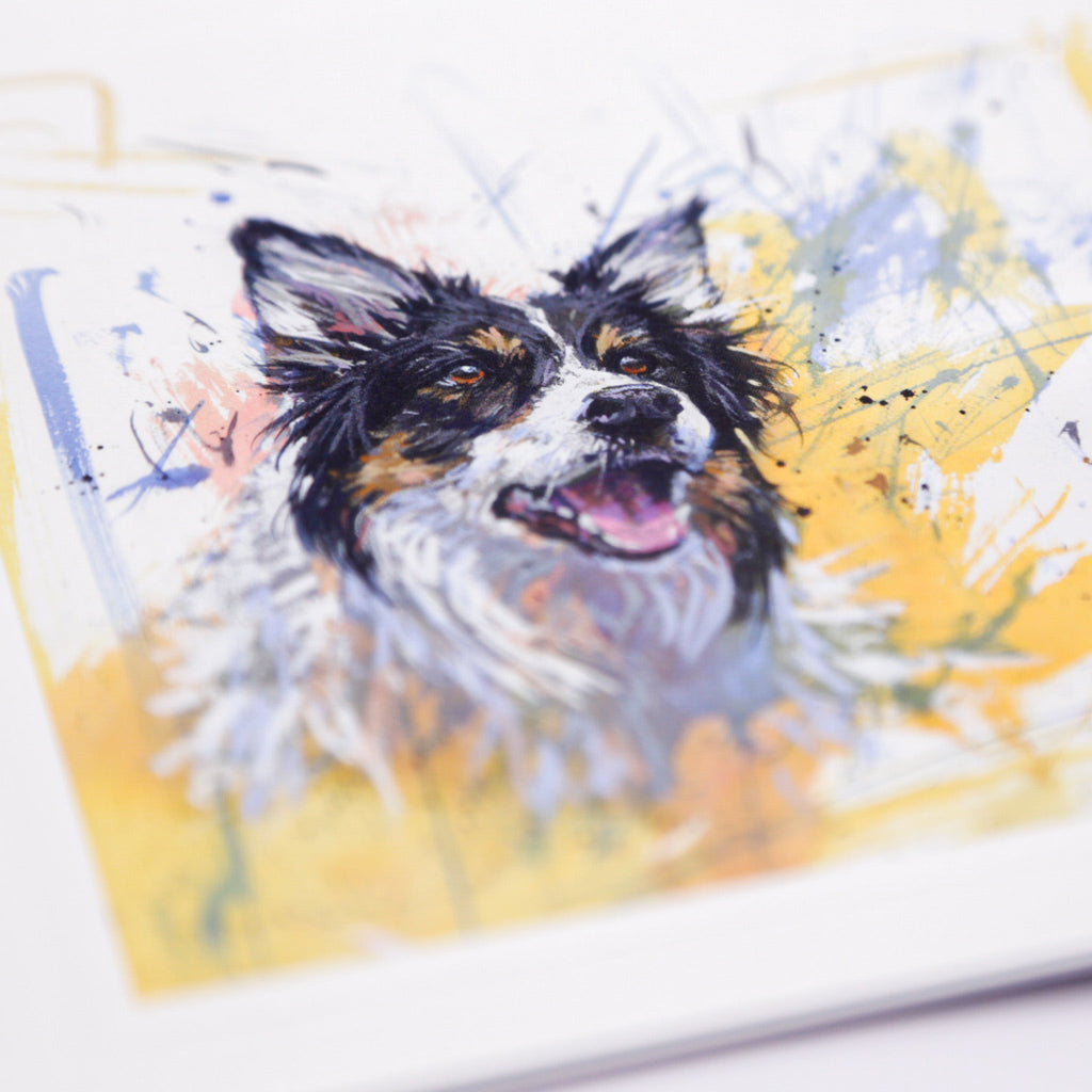 Greeting Card - F021 - Tri-Colour Collie Art Card - Tri-colour Collie - Whistlefish