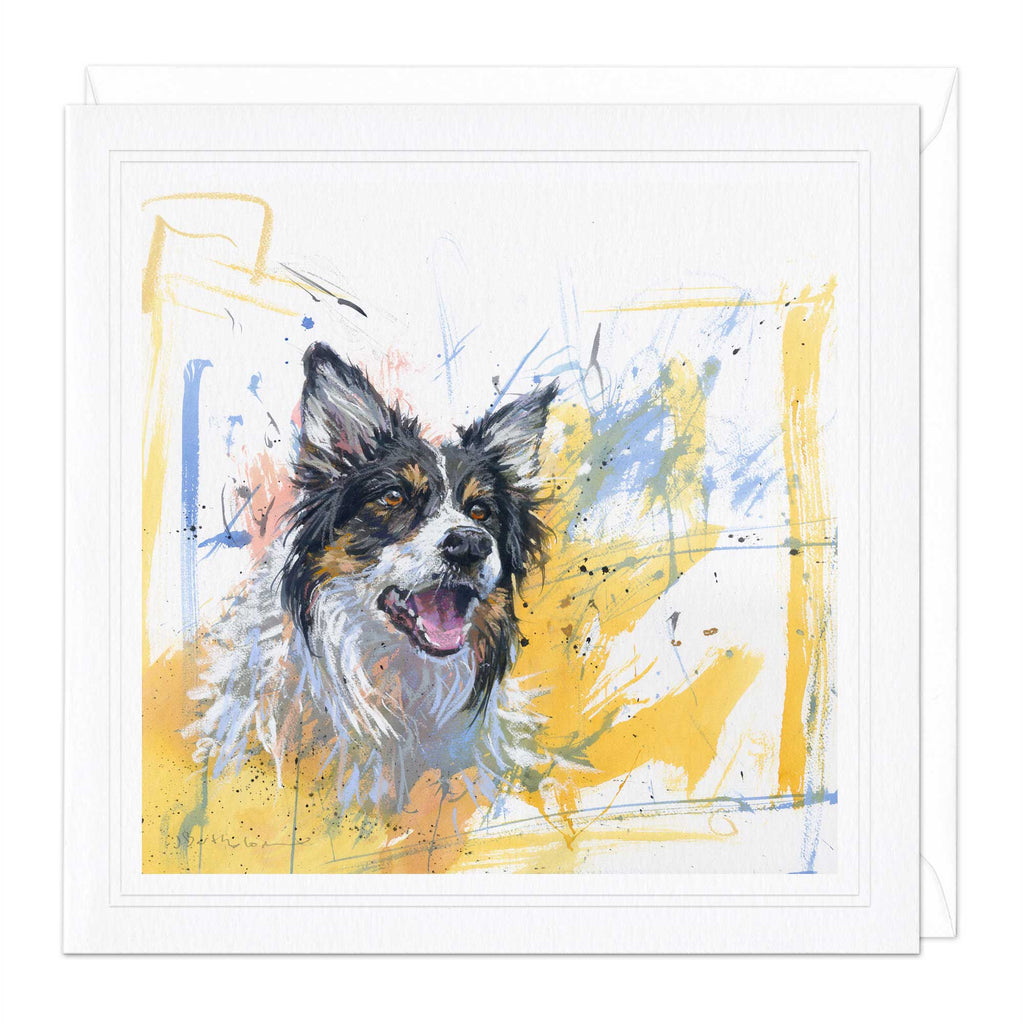 Greeting Card - F021 - Tri-colour Collie - Tri-colour Collie - Whistlefish