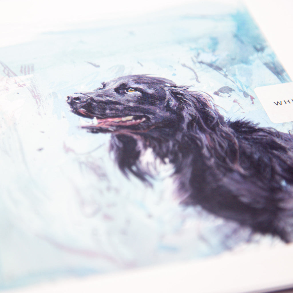 Greeting Card - F022 - Working Cocker On Blue Art Card - Working Cocker on Blue - Whistlefish