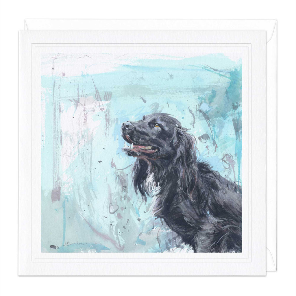 Greeting Card - F022 - Working Cocker on Blue - Working Cocker on Blue - Whistlefish