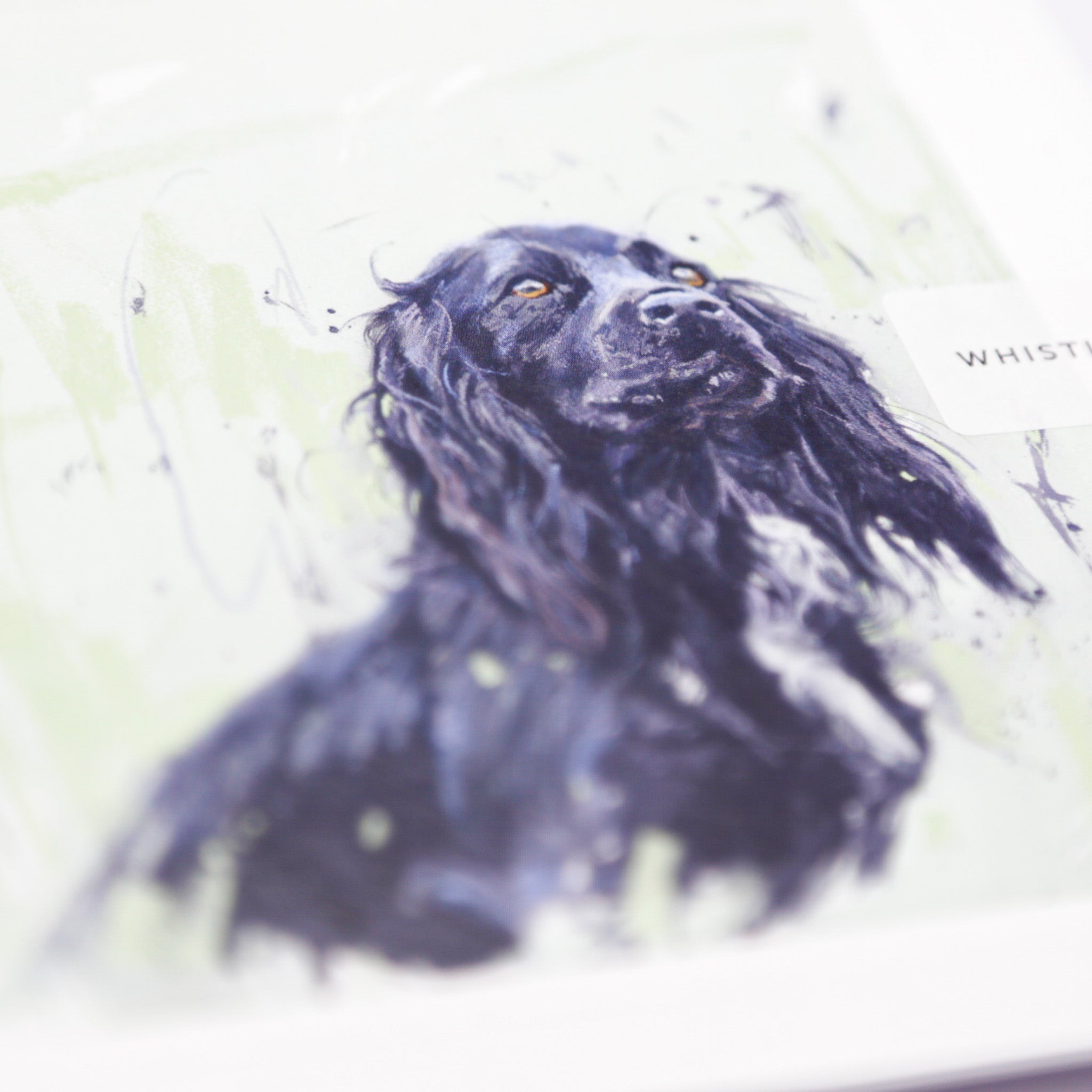 Greeting Card - F023 - Working Cocker Art Card - Working Cocker - Whistlefish