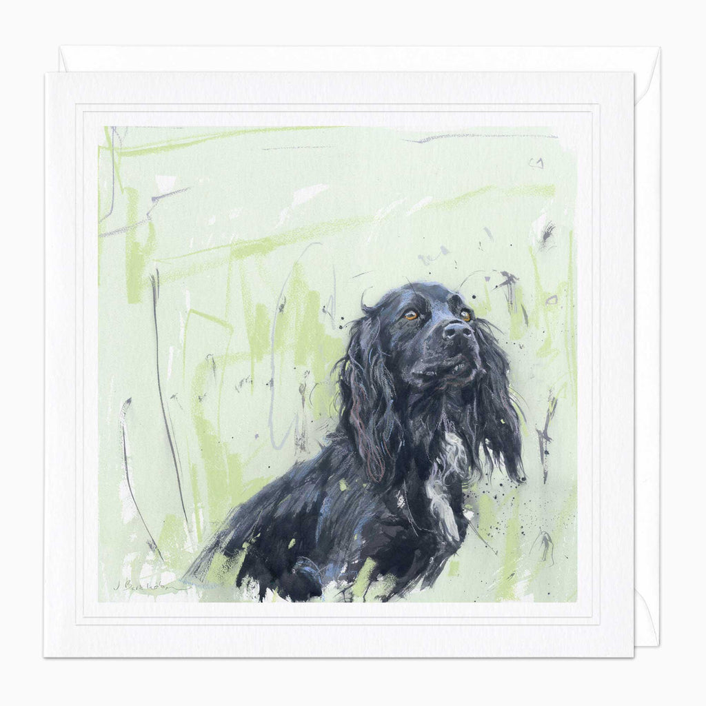 Greeting Card-F023 - Working Cocker Art Card-James Bartholomew