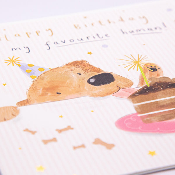 Greeting Card - F108 - Dog Eating Cake Birthday Card - Dog Eating Cake Birthday Card - Whistlefish