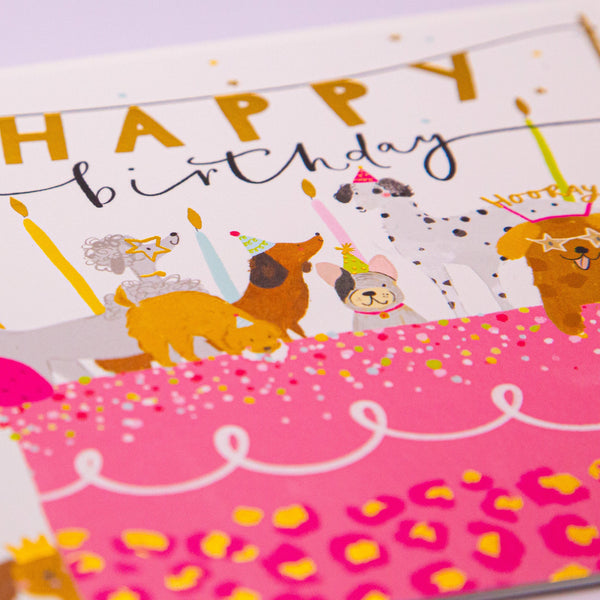 Greeting Card - F143 - Party Dogs Birthday Card - Party Dogs Birthday Card - Whistlefish