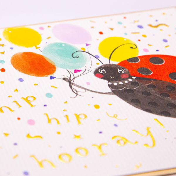 Greeting Card - F153 - Hip Hip Hooray Ladybird Birthday Card - Hip Hip Hooray Ladybird Birthday Card - Whistlefish