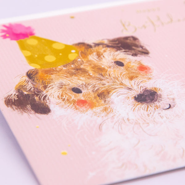 Greeting Card - F185 - Bashful Jack Russell Birthday Card - Bashful Jack Russell Birthday Card - Whistlefish