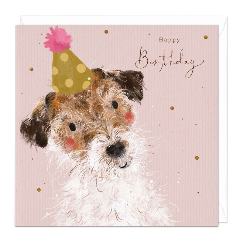 Greeting Card - F185 - Bashful Jack Russell Birthday Card - Bashful Jack Russell Birthday Card - Whistlefish