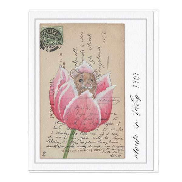 Greeting Card - F228 - Field Mouse Vintage Postcard - Field Mouse Vintage Postcard - Whistlefish