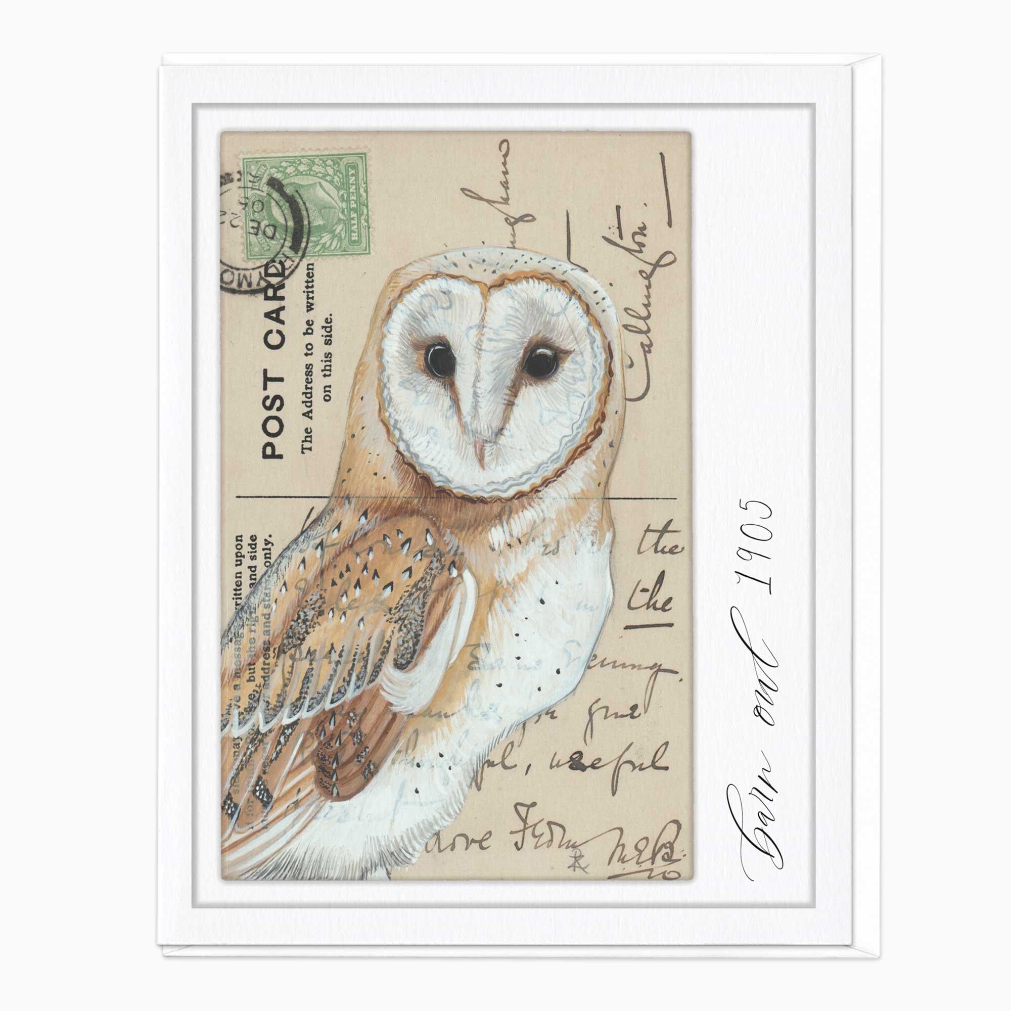 Greeting Card-F231 - Barn Owl Vintage Art Card-Zenna Rogers Art