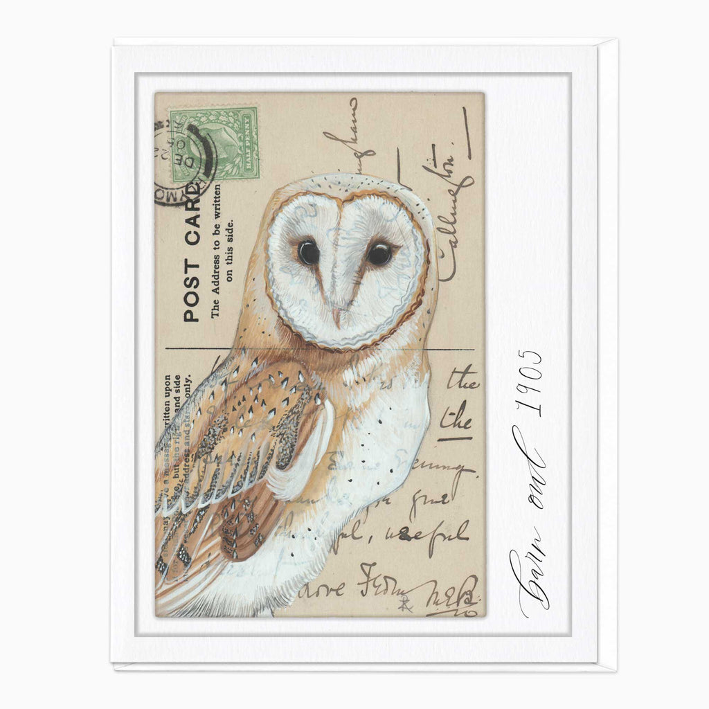 Greeting Card-F231 - Barn Owl Vintage Art Card-Zenna Rogers Art