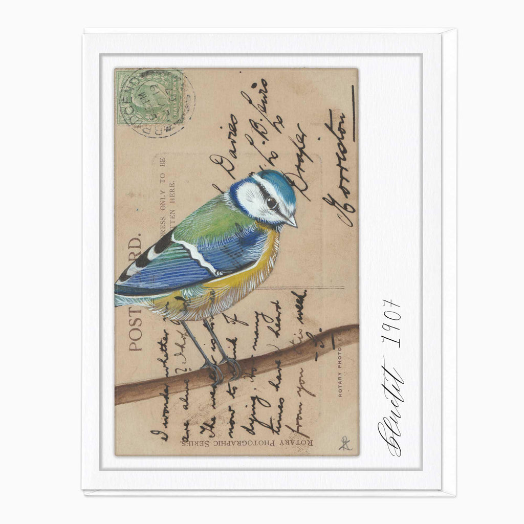 Greeting Card-F233 - Great Tit Vintage Art Card-Zenna Rogers Art