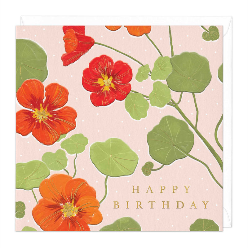 Greeting Card - F271 - Wild Poppy Birthday Card - Wild Poppy Birthday Card - Whistlefish