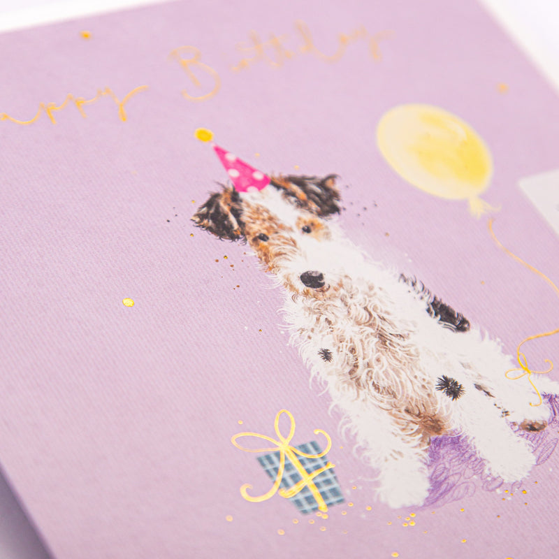 Greeting Card - F387 - Fluffly Jack Russell Birthday Card - Fluffly Jack Russell Birthday Card - Whistlefish