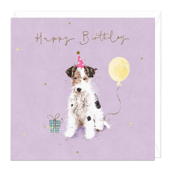 Greeting Card - F387 - Fluffly Jack Russell Birthday Card - Fluffly Jack Russell Birthday Card - Whistlefish