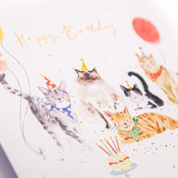 Greeting Card - F389 - Party Cats Birthday Card - Party Cats Birthday Card - Whistlefish