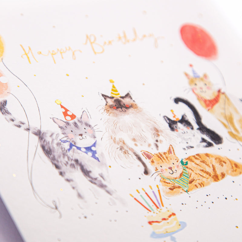 Greeting Card - F389 - Party Cats Birthday Card - Party Cats Birthday Card - Whistlefish