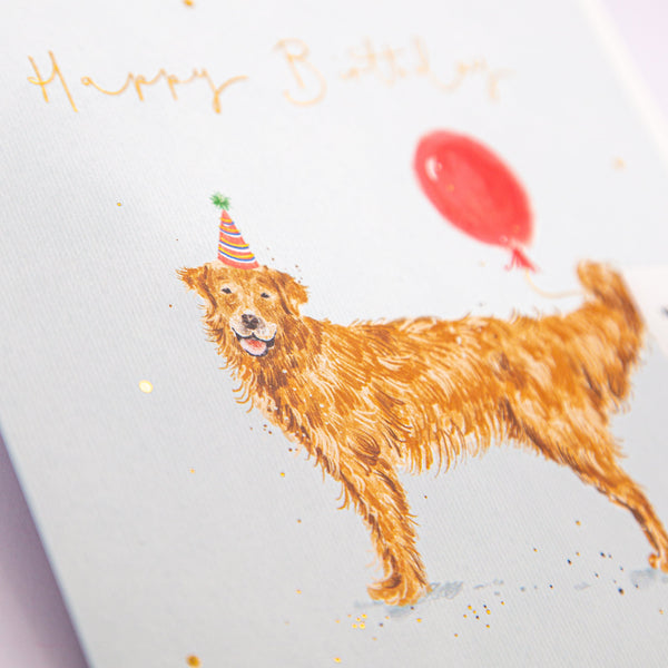 Greeting Card - F399 - Party Dog Birthday Card - Party Dog Birthday Card - Whistlefish