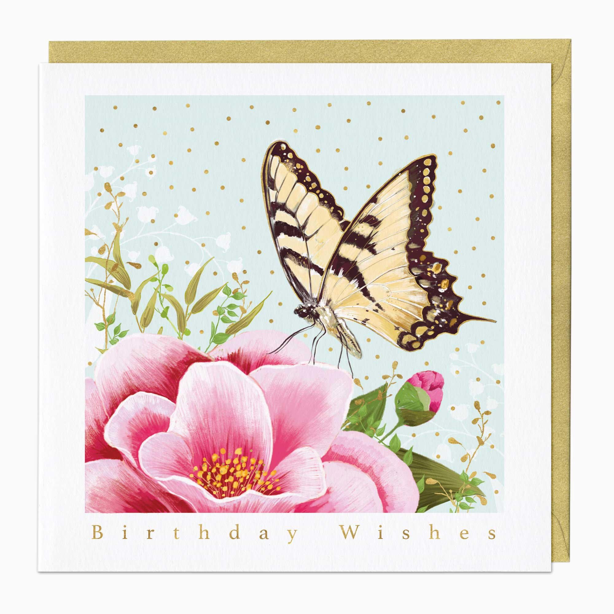 Greeting Card-F475 - Majestic Butterfly Birthday Card-Whistlefish