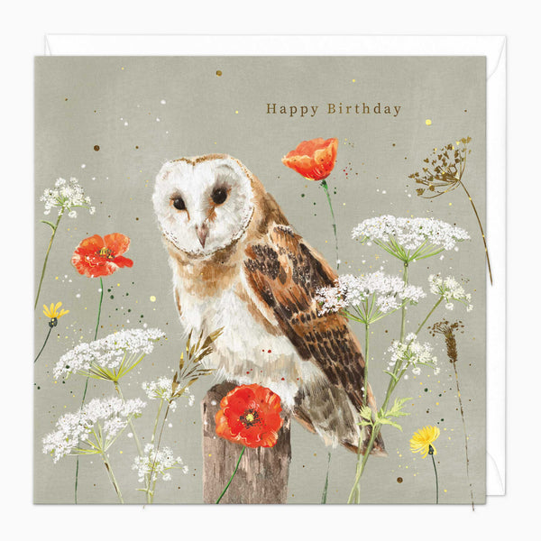 Greeting Card - G047 - Barn Owl Birthday Card - Barn Owl Birthday Card - Whistlefish