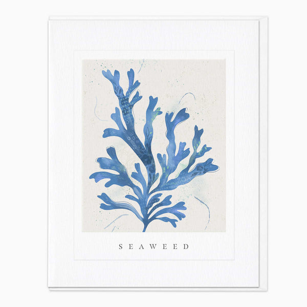 Greeting Card - G098 - Seaweed Seagrass Card - Seaweed Seagrass Card - Whistlefish