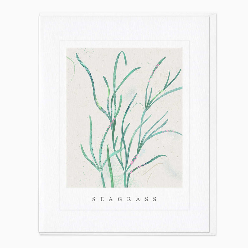 Greeting Card - G099 - Seagrass Card - Seagrass Card - Whistlefish