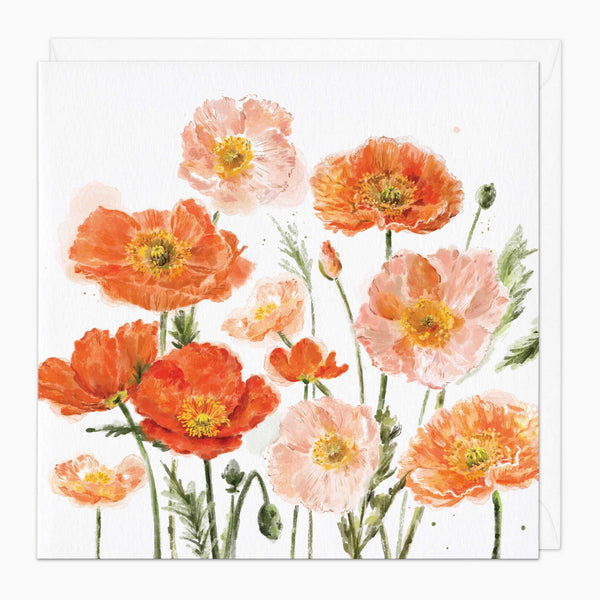 Greeting Card-G172 - Orange Poppies Art Card-Whistlefish