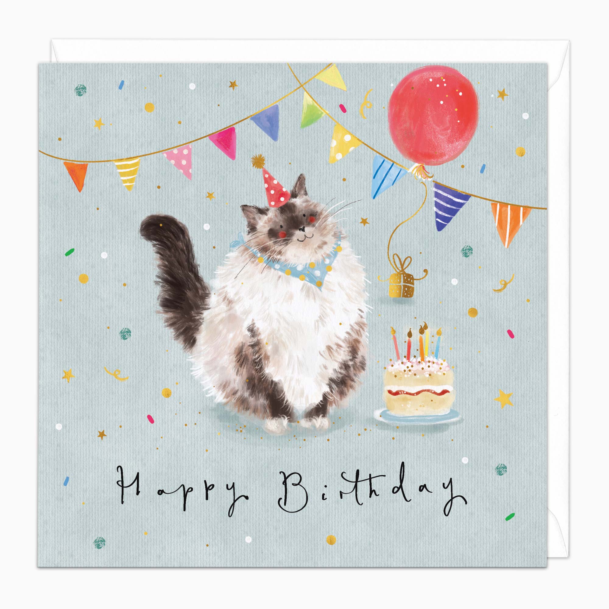 Greeting Card-G504 - Party Cat Birthday Card-Whistlefish