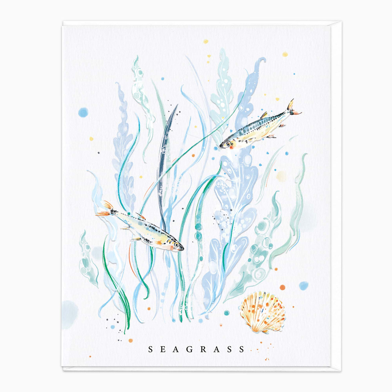 Greeting Card-G627 - Marine Whispers Seagrass Card-Whistlefish
