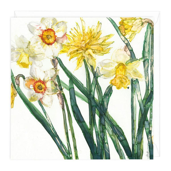 Greeting Card-W405 - Narcissus & Daffodil Floral Card-Whistlefish