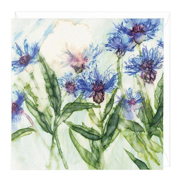 Greeting Card-W415 - Cornflower Floral Card-Whistlefish