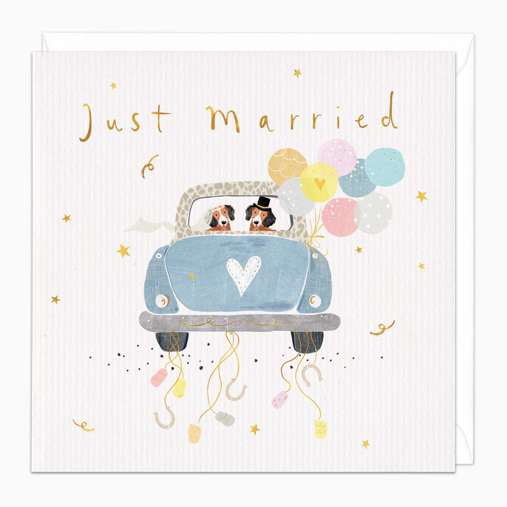 Greeting Card-H315 - Just Married Wedding Card-Whistlefish