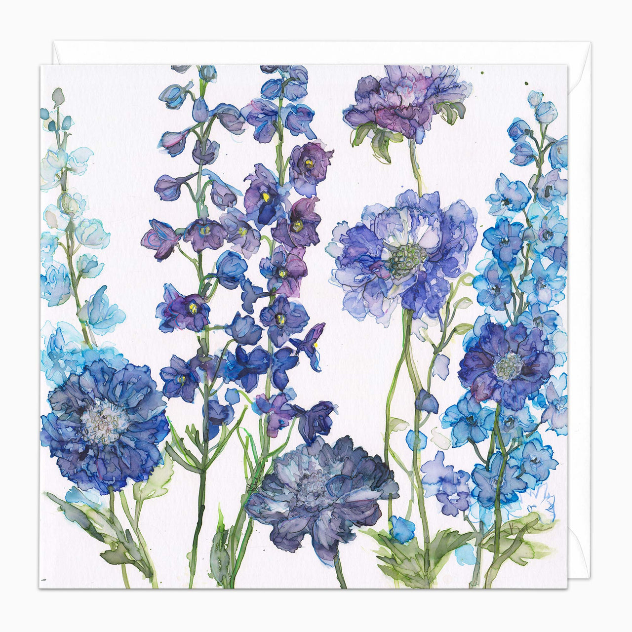 H461 - Delphiniums and Scabius Art Card