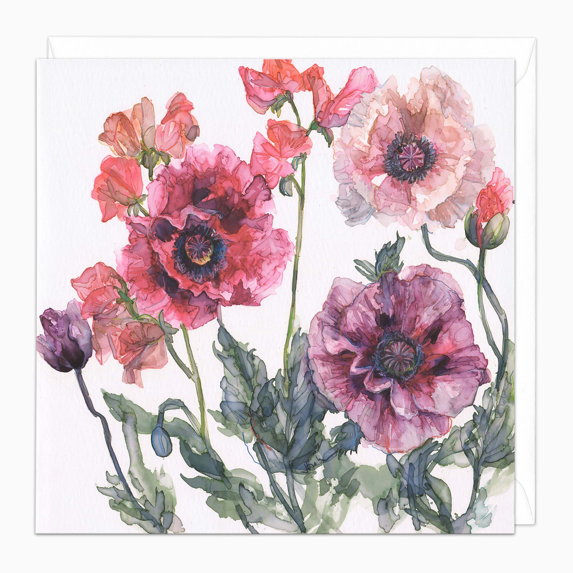 H462 - Poppies and Sweet Peas Art Card