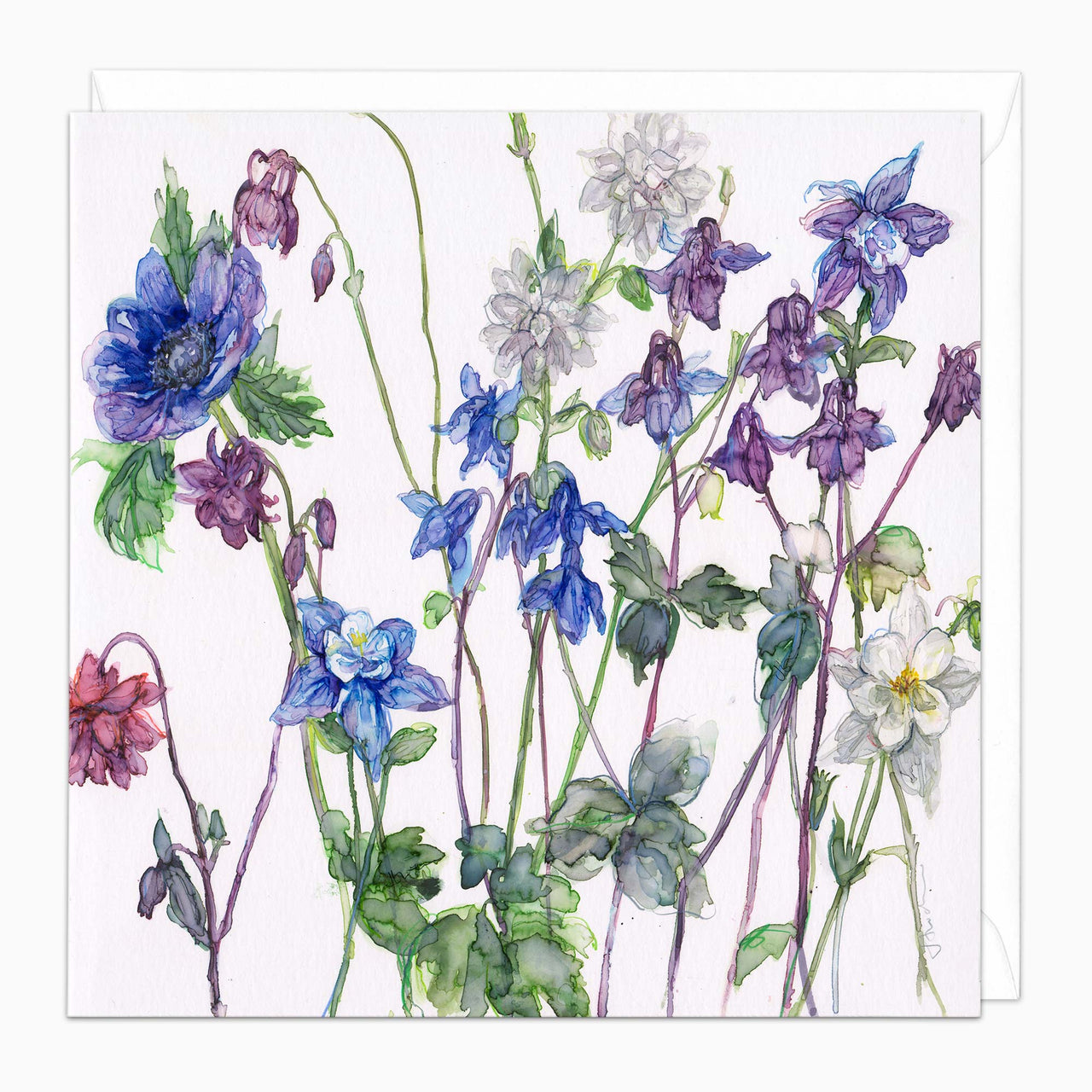 H463 - Aqueilegias and Anenome Art Card