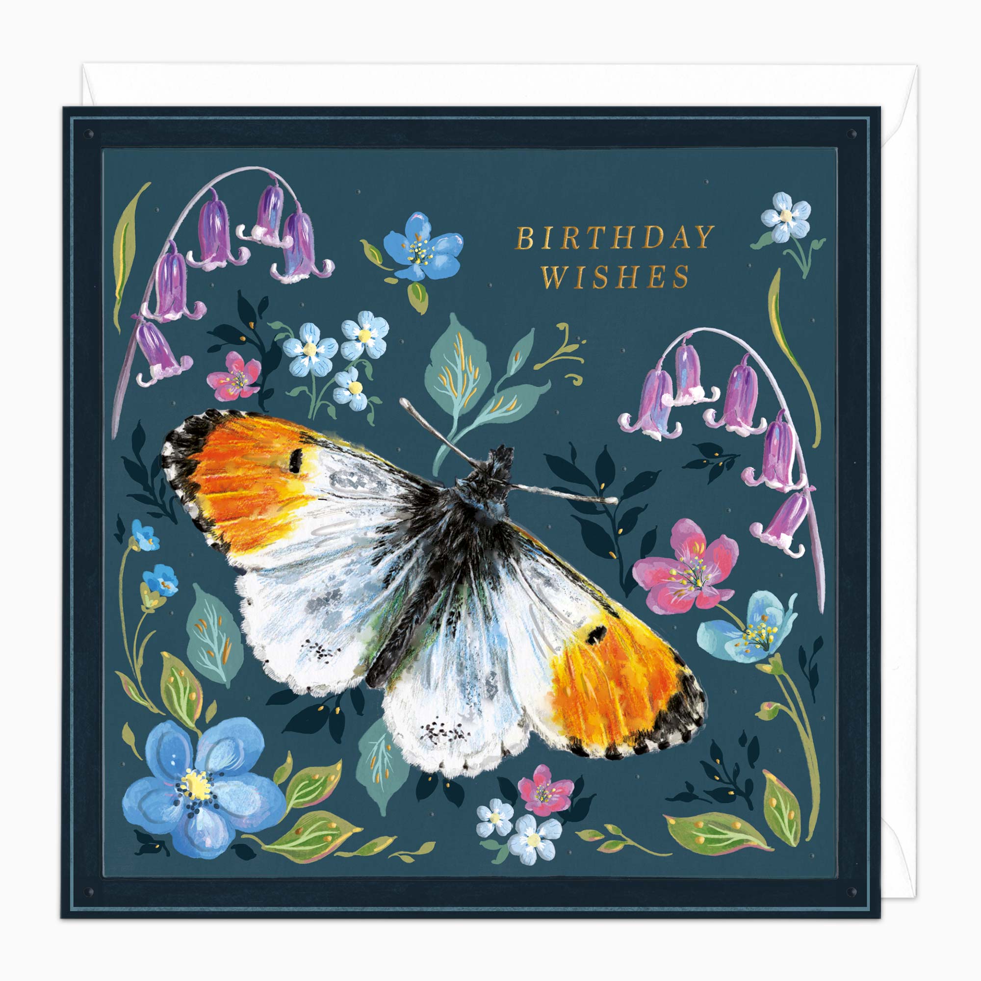 H525 - Orange Tip Butterfly Birthday Card