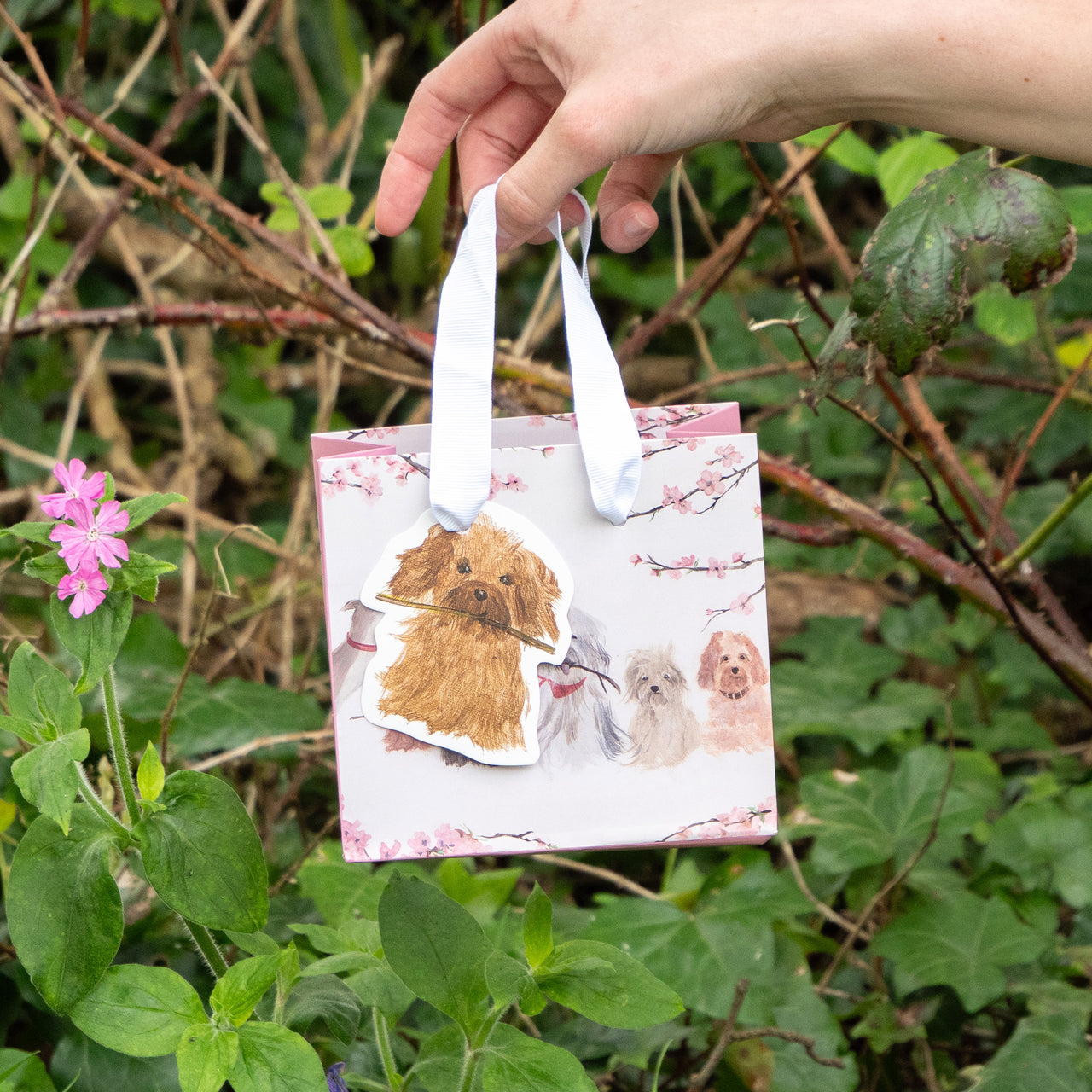 Gift Bag-HC02SB - Dogs Small Gift Bag-Hannah Cole