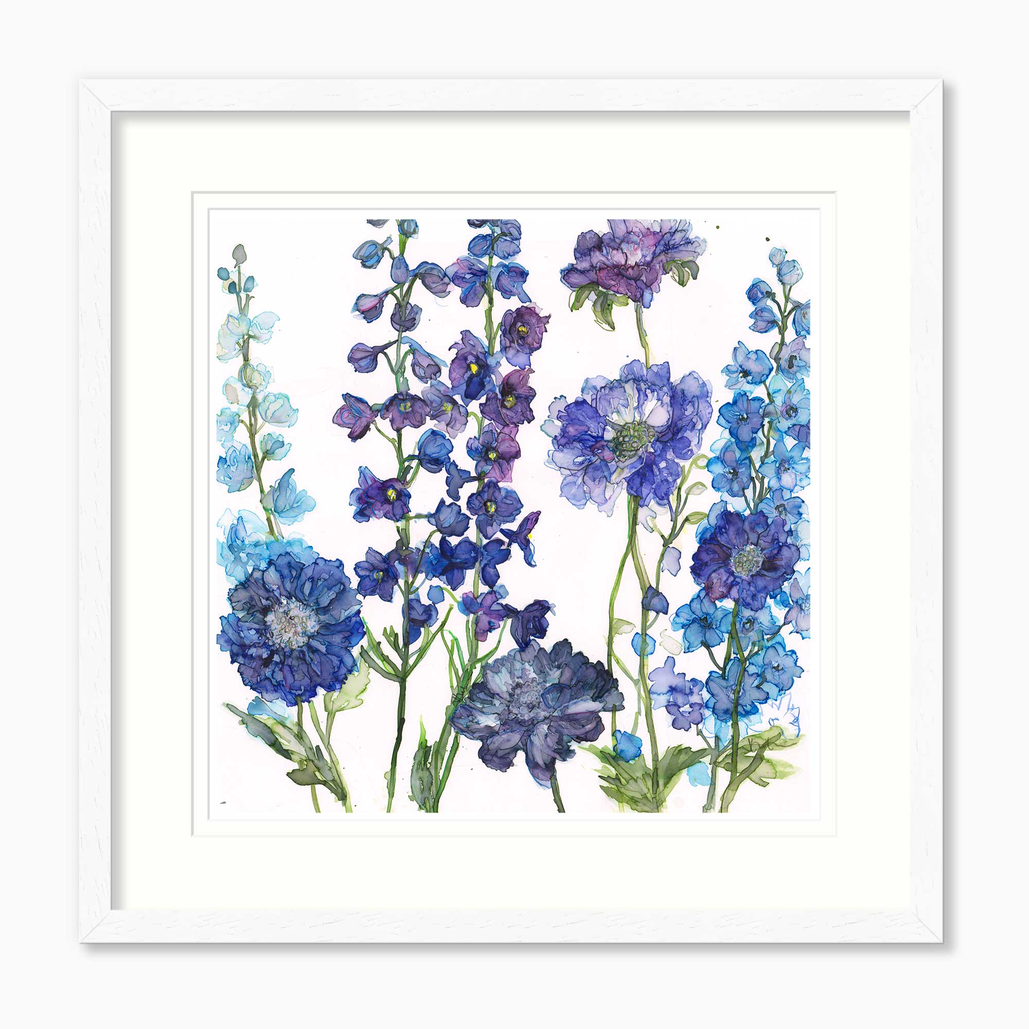 JT64F - Delphiniums and Scabius Framed Print