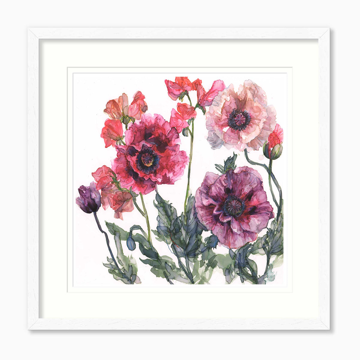 JT65F - Poppies and Sweet Peas Framed Print