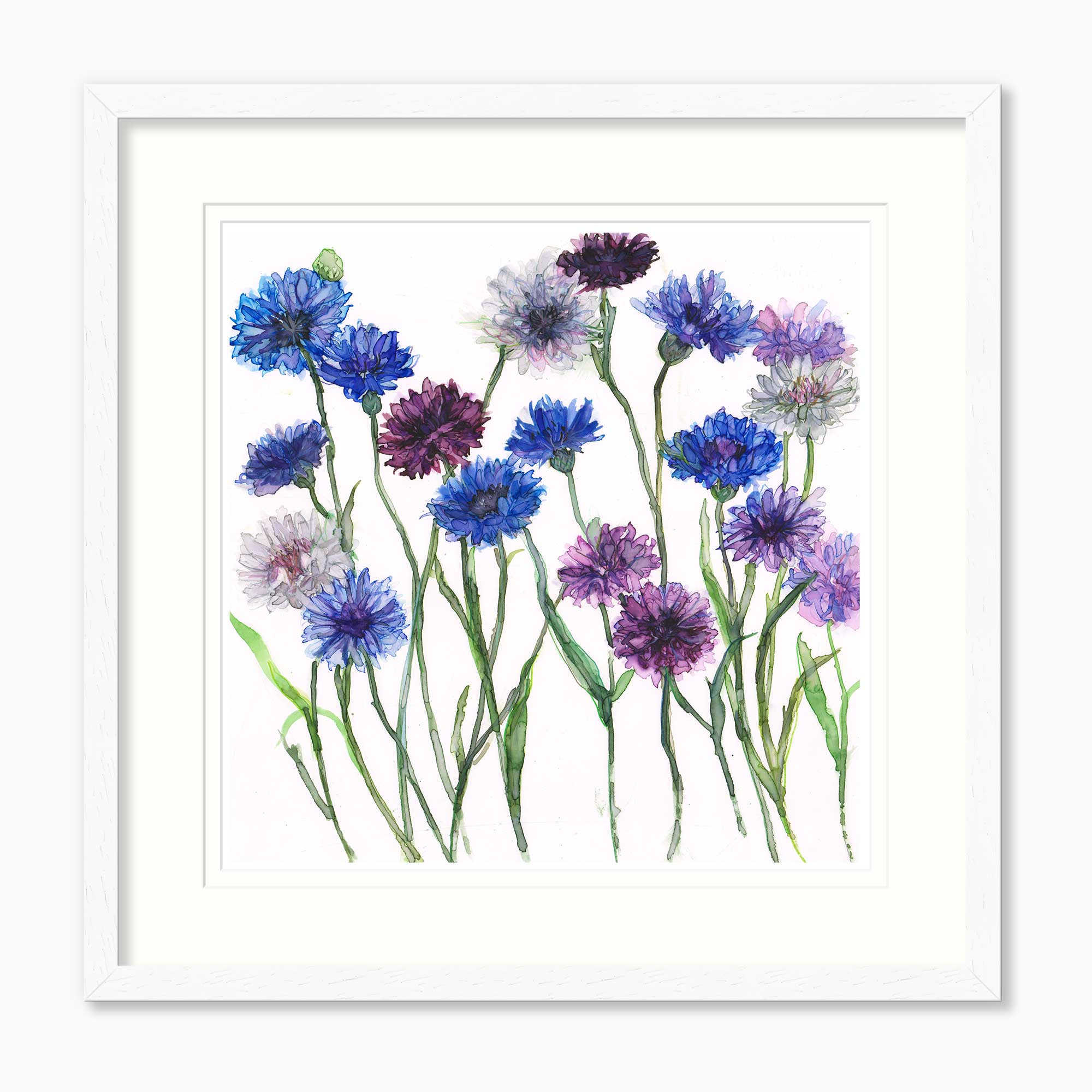 JT68F - Cornflowers Framed Print