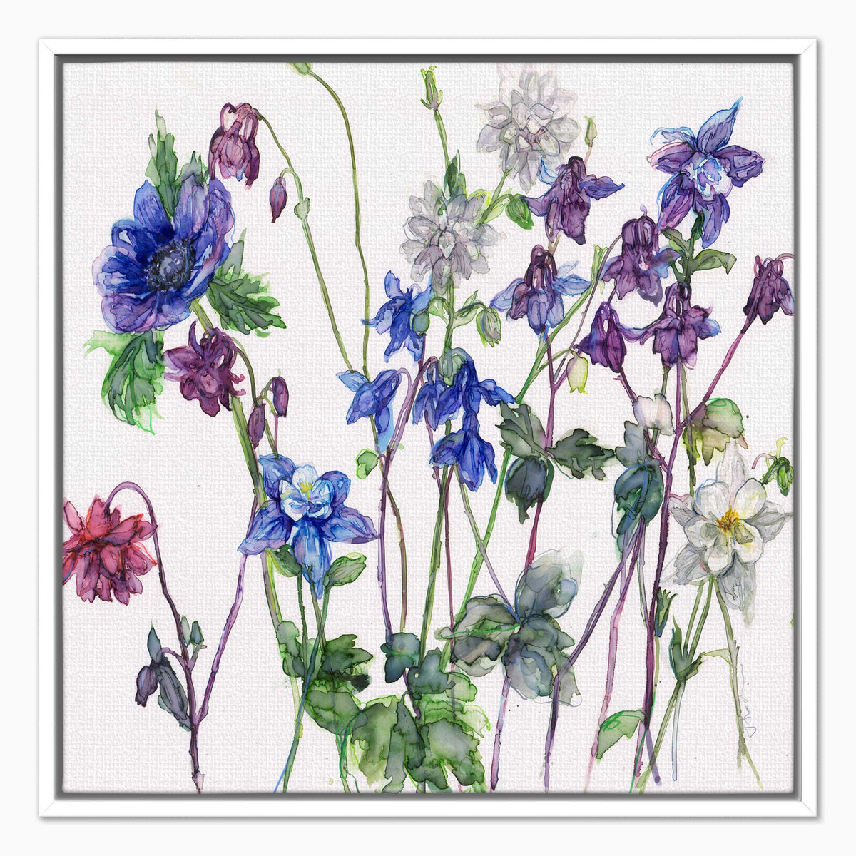 JTC22F - Aqueilegias and Anenome Framed Canvas