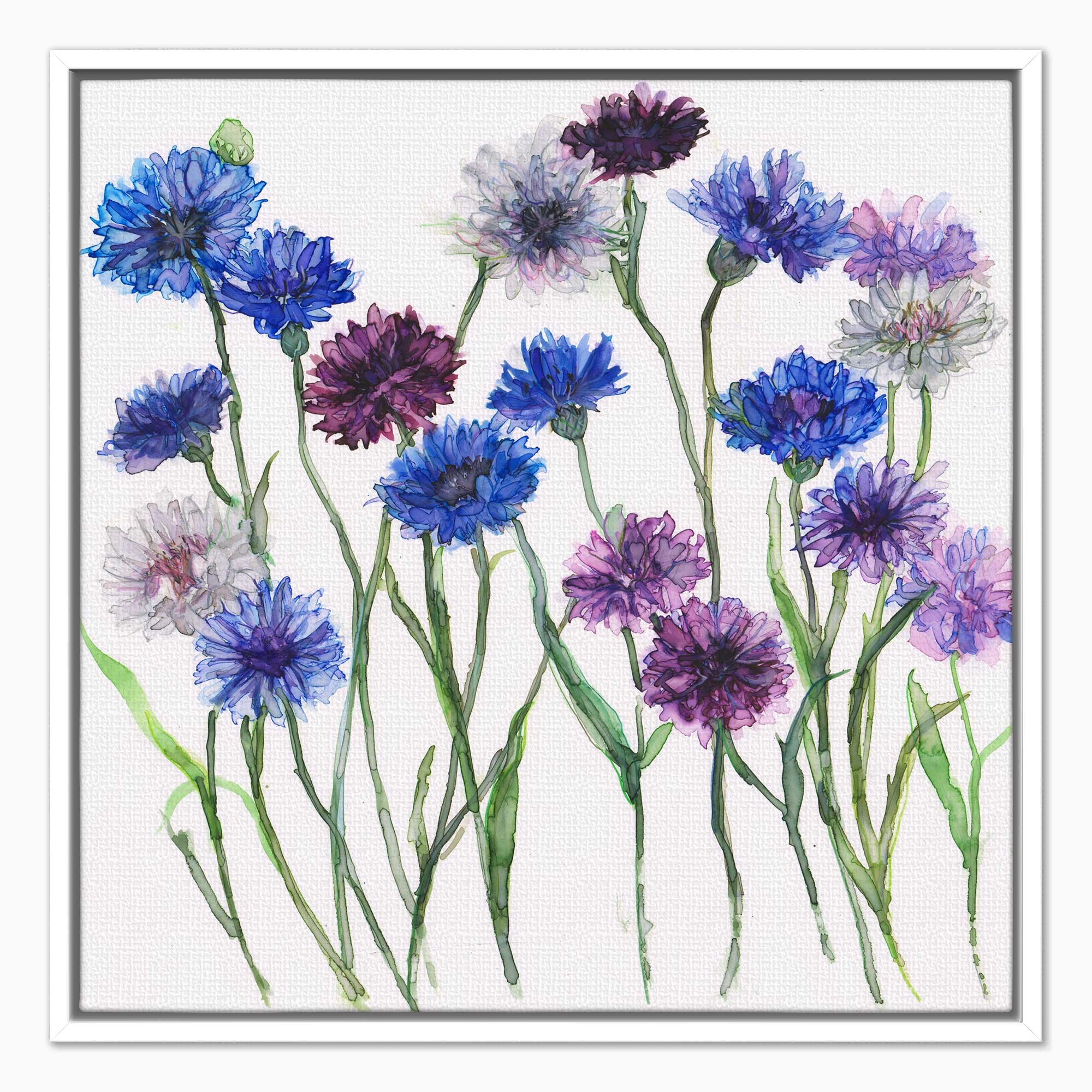 JTC24F - Cornflowers Framed Canvas