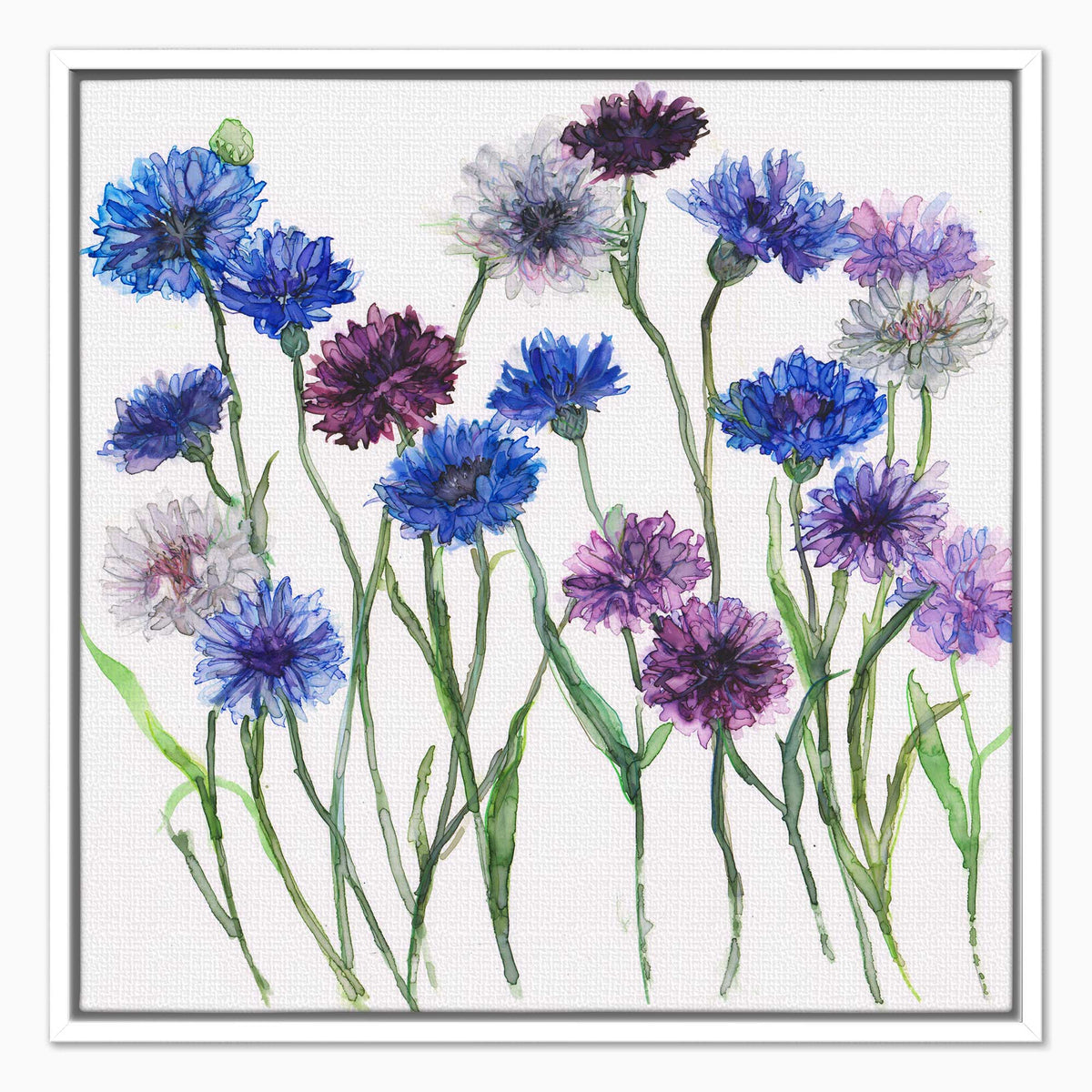 JTC24F - Cornflowers Framed Canvas