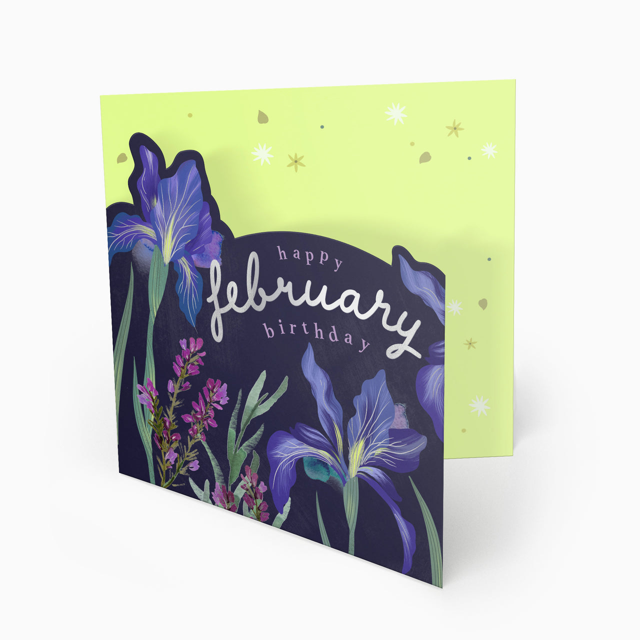 Luxury Card-LN146 - Bright Summer February Birthday Card-Whistlefish