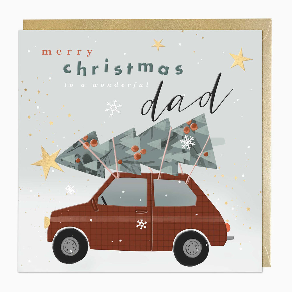 Luxury Christmas Card-LZ025 - Wonderful Dad Luxury Christmas Card-Whistlefish