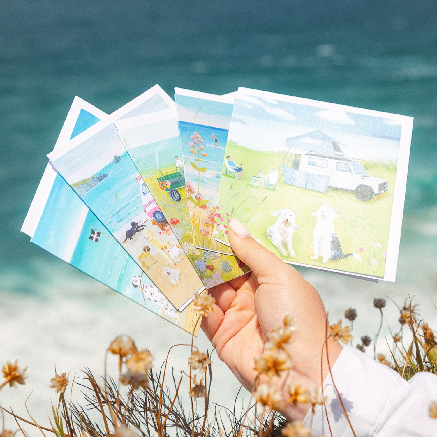 Coastal Walk Notelet Tin - Whistlefish