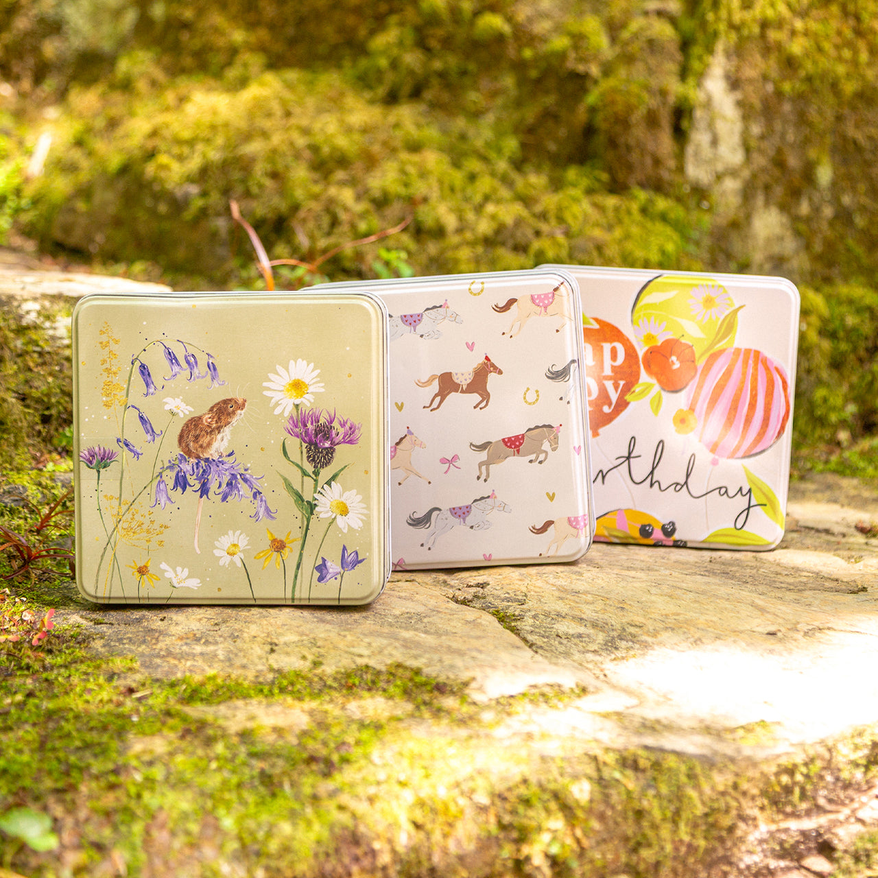 Notelet Tin-MWT63 - Country Creatures Notelet Tin-Whistlefish