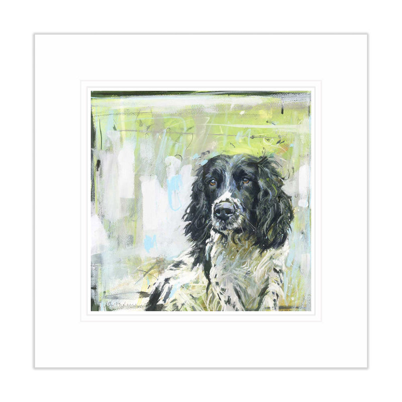 Mounted Print - BART102M - Springer On Green Mounted Print - Springer On Green Mounted Print - Whistlefish