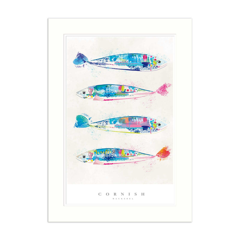 Mounted Print - WF617M - Cornish Mackerel Medium Mounted Print - Cornish Mackerel Medium Mounted Print- Whistlefish