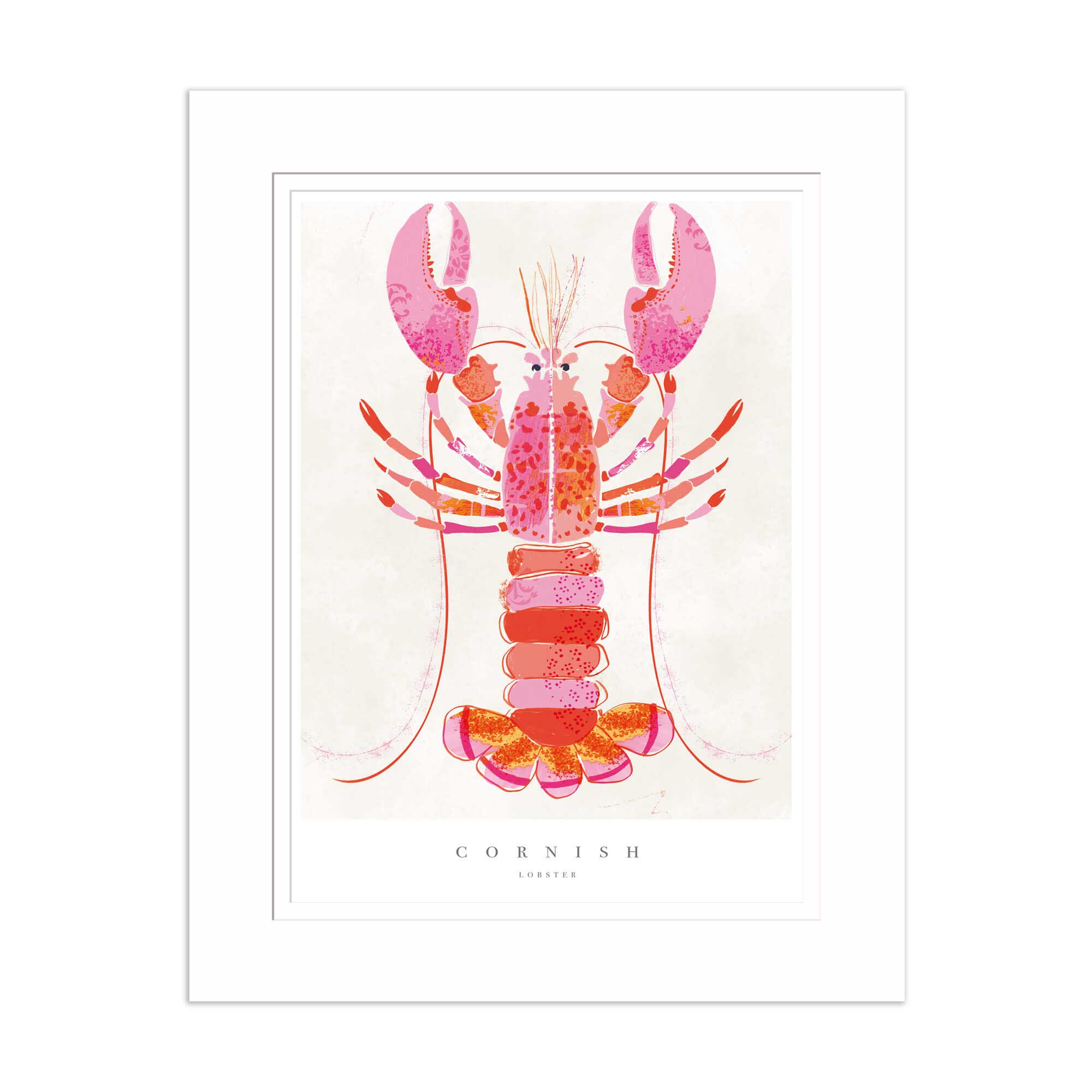 Cornish Lobster Medium Mounted Print - Whistlefish